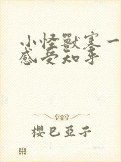 小怪兽塞一天的感受知乎