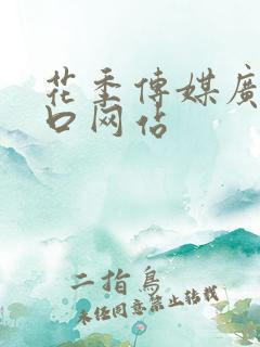 花季传媒广告入口网站