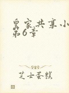 皇家共享小公主第6章