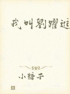 我叫刘跃进下载