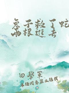 兔子救了蛇被蛇两根进去