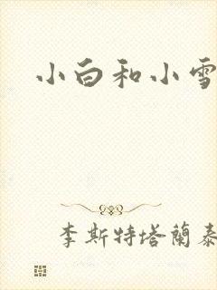小白和小雪