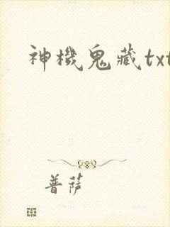 神机鬼藏txt