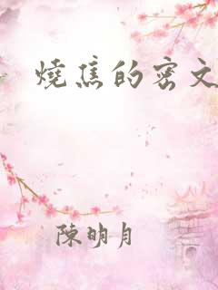 烧焦的密文