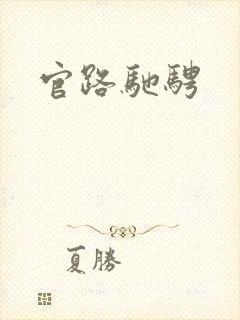 官路驰骋