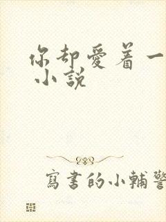 你却爱着一个他 小说