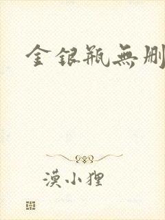金银瓶无删除