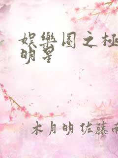 娱乐圈之极品大明星