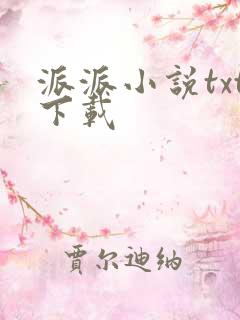 派派小说txt下载