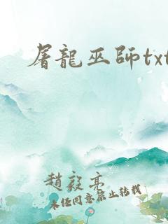 屠龙巫师txt