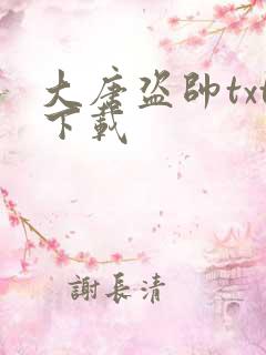 大唐盗帅txt下载