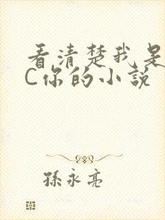 看清楚我是怎么C你的小说