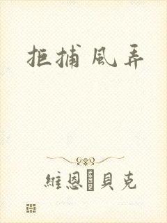 拒捕 风弄