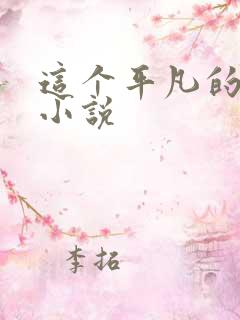 这个平凡的男子小说