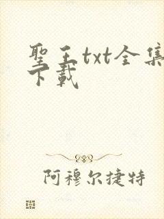 圣王txt全集下载