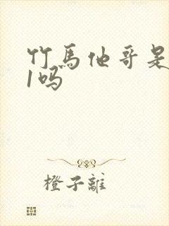 竹马他哥是1v1吗