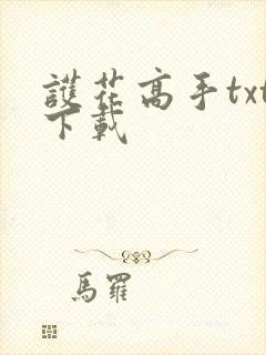 护花高手txt下载