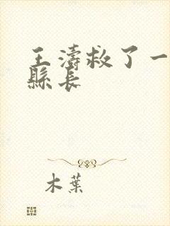 王涛救了一个女县长