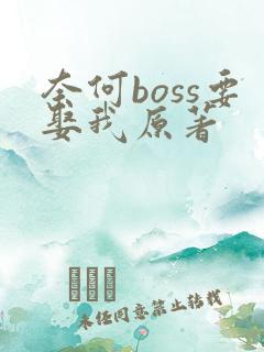 奈何boss要娶我原著