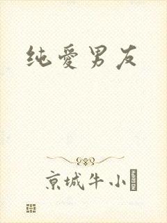 纯爱男友