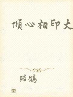 倾心相印大结局