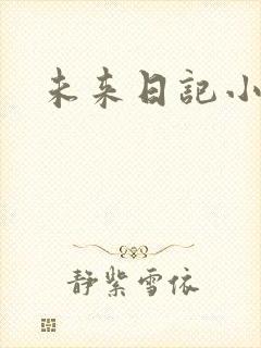 未来日记小说