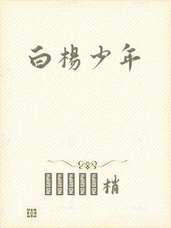 白杨少年