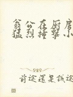 翁公在厨房和我猛烈撞击小说