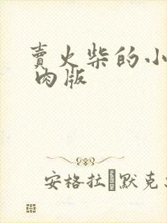 卖火柴的小男孩 肉版