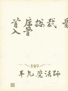 首席总裁 爱你入骨