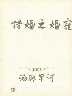 错婚之婚宠一世