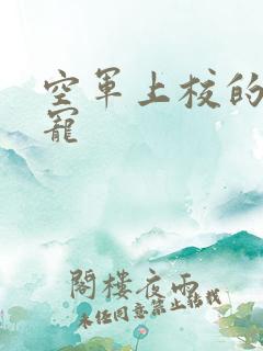 空军上校的邪魅宠