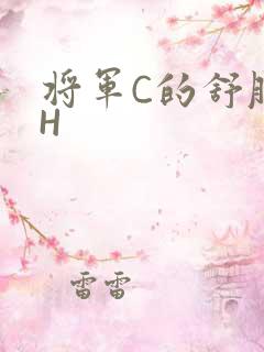 将军C的舒服么H