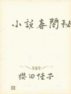 小说春闺秘史