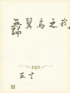 无翼乌之我的教师