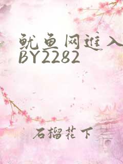 鱿鱼网进入官网BY2282