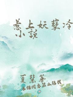 惹上妖孽冷殿下 小说