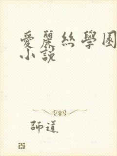 爱丽丝学园同人小说