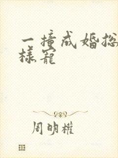 一撞成婚总裁花样宠