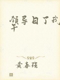 领导日了我一下午