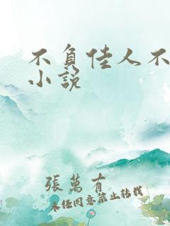 不负佳人不负卿小说