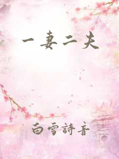 一妻二夫