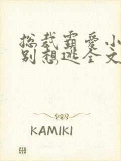 总裁霸爱小娇妻别想逃全文阅读免费