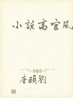 小说高官风流