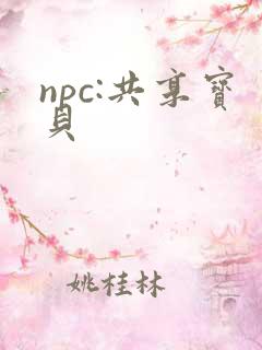 npc:共享宝贝