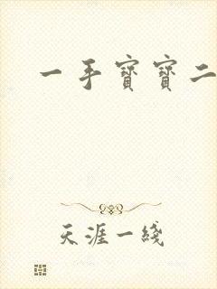 一手宝宝二手妻