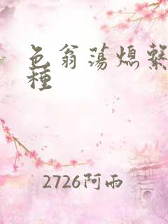 色翁荡熄系列借种