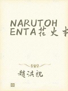 NARUTOHENTA花火本子