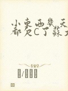 小东西几天没做都欠C了苏大深