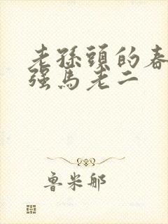 老孙头的春天马强马老二